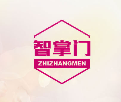 智掌门