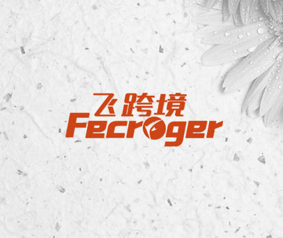 飞跨境 FECROGER