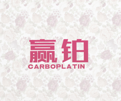 赢铂  CARBOPLATIN