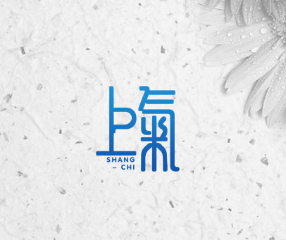 上气  SHANG CHI