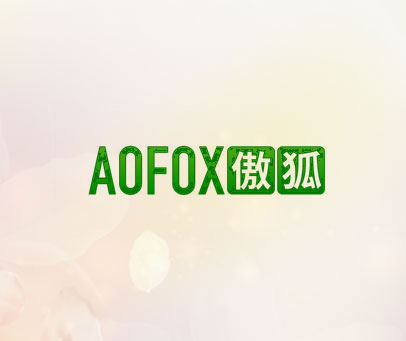 傲狐 AOFOX