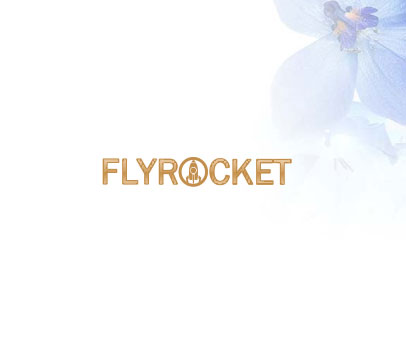 FLYROCKET