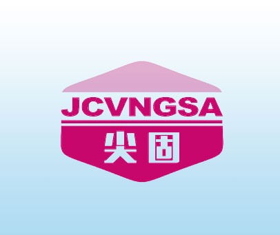 尖固 JCVNGSA
