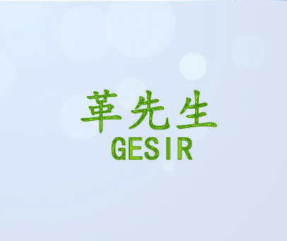 革先生 GESIR