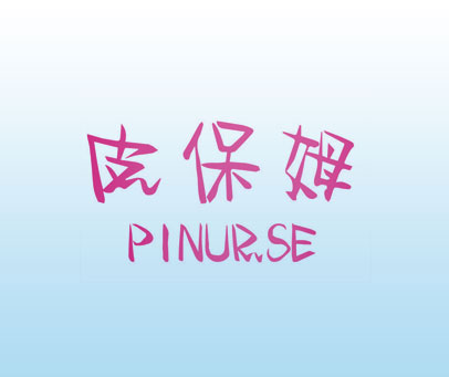 皮保姆 PINUR.SE