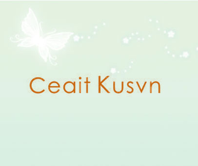 CEAIT KUSVN