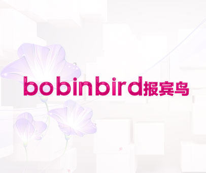 报宾鸟 BOBINBIRD