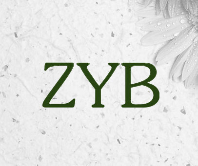 ZYB