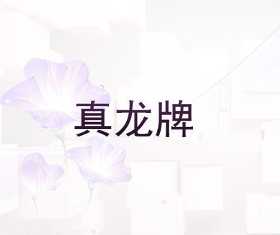 真龙牌