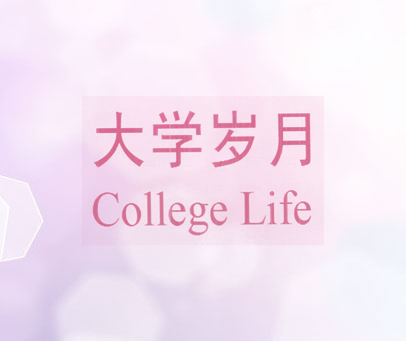 大学岁月 COLLEGE LIFE