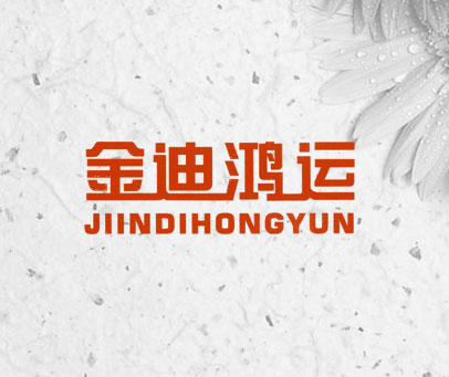 金迪鸿运