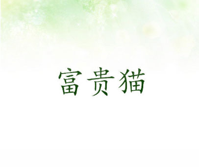 富贵猫
