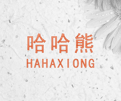 哈哈熊