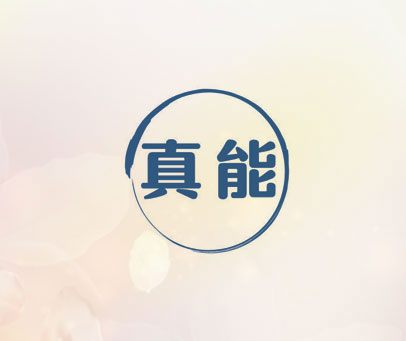 真能
