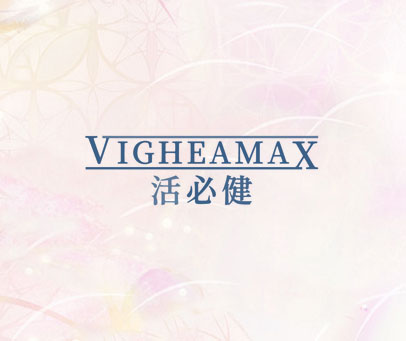 活必健 VIGHEAMAX