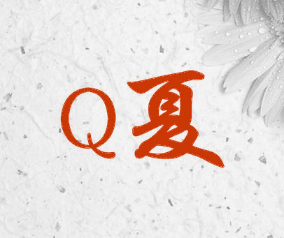 Q夏