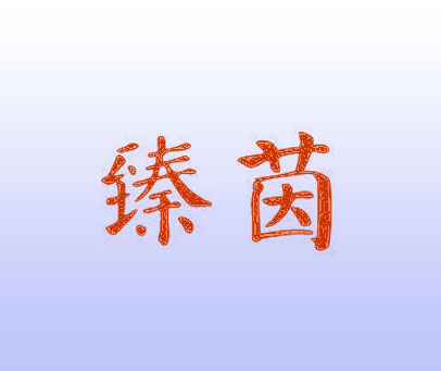 臻茵