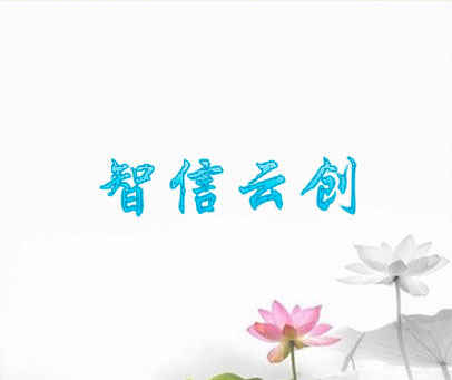 智信云创