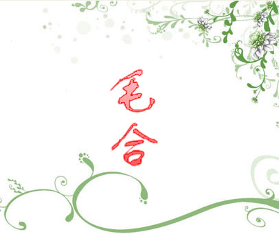 毛合