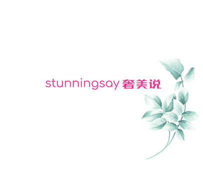 奢美说 STUNNINGSAY