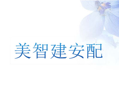 美智建安配
