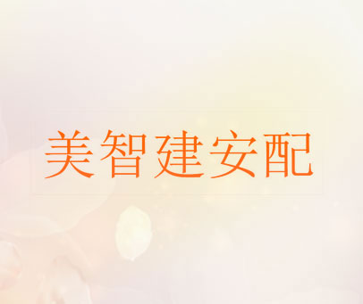 美智建安配