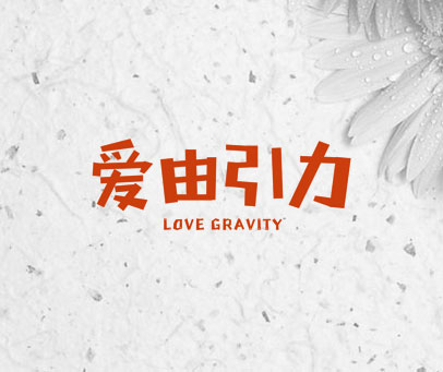 爱由引力 LOVE GRAVITY