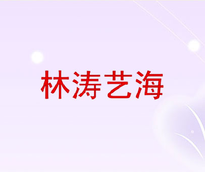 林涛艺海