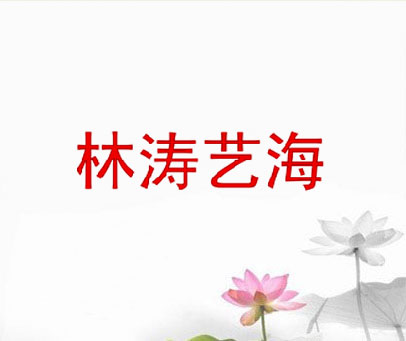 林涛艺海