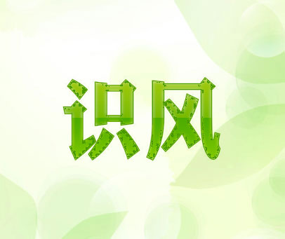 识风