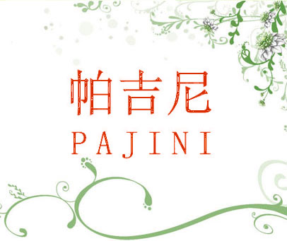 帕吉尼