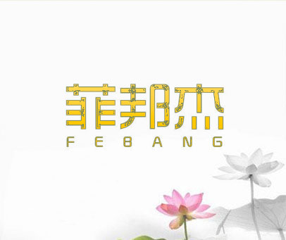 菲邦杰 FEBANG