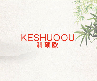 科硕欧 KESHUOOU