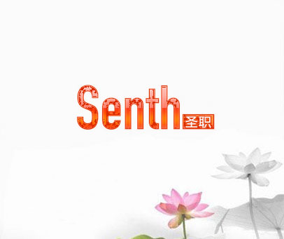 SENTH圣职