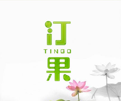 汀果 TINGO