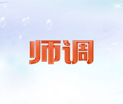 师调