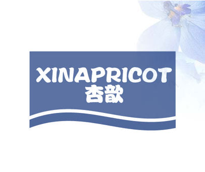 杏歆 XINAPRICOT