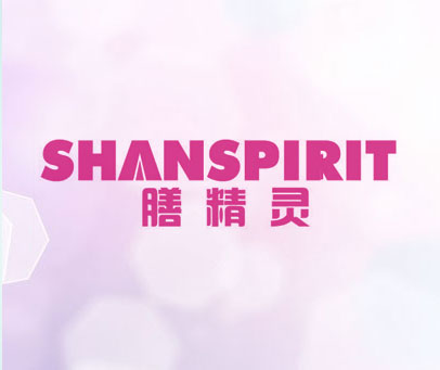 膳精灵 SHANSPIRIT
