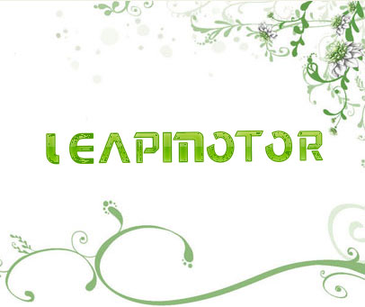 LEAPMOTOR