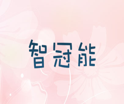智冠能