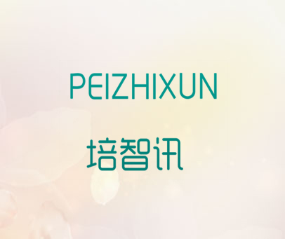 培智讯