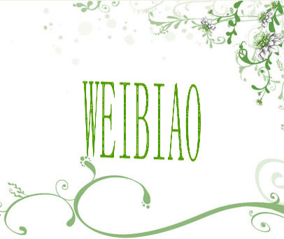 WEIBIAO