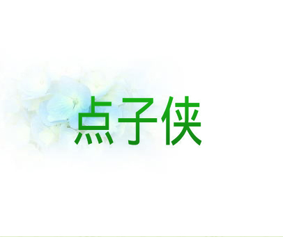 点子侠