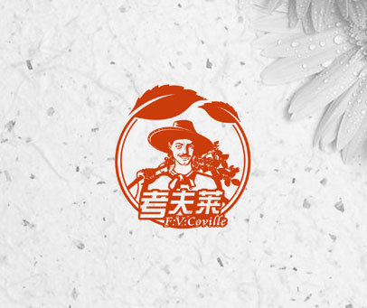 考夫莱  F.V.COVILLE