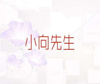 小向先生