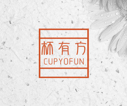 杯有方 CUPYOFUN