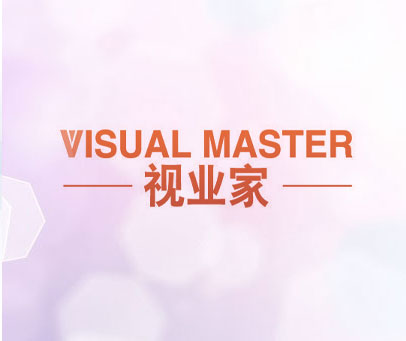 视业家 VISUAL MASTER