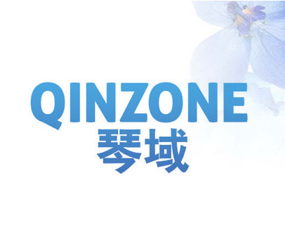 琴域 QINZONE