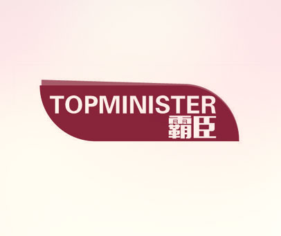 霸臣 TOPMINISTER