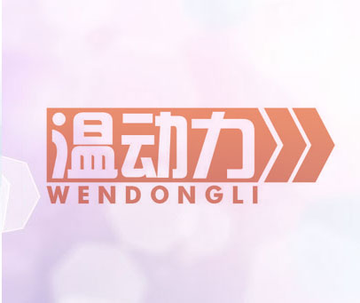 温动力